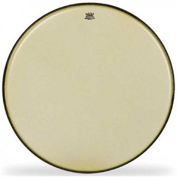 REMO RA-1024-SS - PELLE RENAISSANCE 24 CASSA   REMO