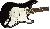 Fender Player Stratocaster Pf Black  0144503506