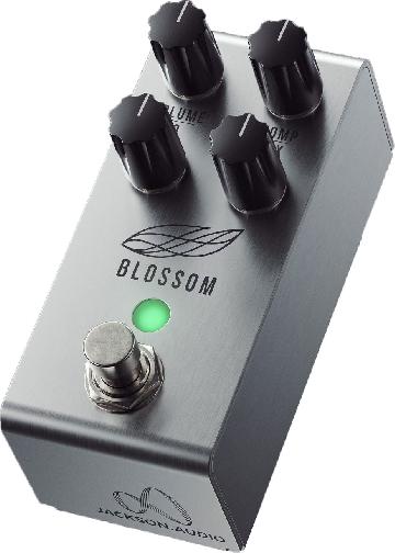 Jackson Audio Blossom - Chitarre Effetti - Compressori