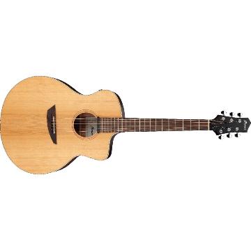 Ibanez PA230ENSL - EL AC GTR W/BAG