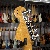 Fender Malmsteen Artist Signature Stratocaster  2004 Di Marzio