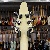 Gibson Flying V 70 Classic White 2024