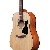 Ibanez V40opn - Ac Gtr