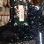 Musicman Bfr Jp Xi Onyx Piezo John Petrucci Ball Family Reserve