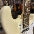 Squier Japan Stratocaster Silver Series White