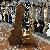 Gibson Les Paul Standard  Goldtop Lh Left Handed Mancina