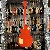 Eko Vl 480 Aged Cherry Sunburst Flamed