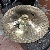 Zildjian A Avedis 21 Ultra Hammered China 19