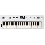 Roland Go:keys-5-wh - 4957054520465