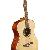 Eko Guitars Nxt A100 Natural