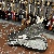 Lakewood M14cp Auditorium Natural