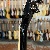 Gibson Les Paul Studio Session Translucent Ebony Burst