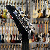 Gibson 1993 Explorer Ebony Black True Vintage
