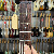 Music Man Bfr Luke 3 Hh Hazel Burst Flame