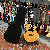 Takamine 1998 Sun And Moon Limited Edition Japan