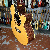 Takamine 1998 Sun And Moon Limited Edition Japan