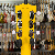 Tokai Traditional Special Ulss58 Yellow