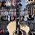 Maton Ebg808cte Tommy Emmanuel Honey