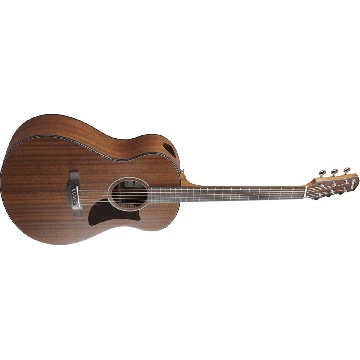 Ibanez AAM54OPN - AC GTR