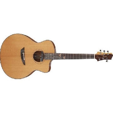 Ibanez JGM11 - EL AC J.GOMM W/CASE