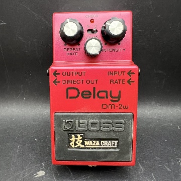 BOSS DM2 W  WAZA CRAFT DELAY