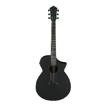 Ibanez AEWC621BOT - EL AC GTR