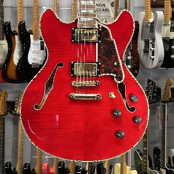 D ANGELICO EX DC EXCEL TRANS CHERRY RED