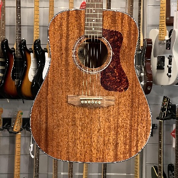 GUILD D 120  DREADNOUGHT + BAG