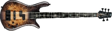 Spector Euro 5 CST - Nat Black Burst Gloss