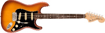 FENDER American Performer Spruce Stratocaster, Rosewood Fingerboard, Honey Burst - 0171030742